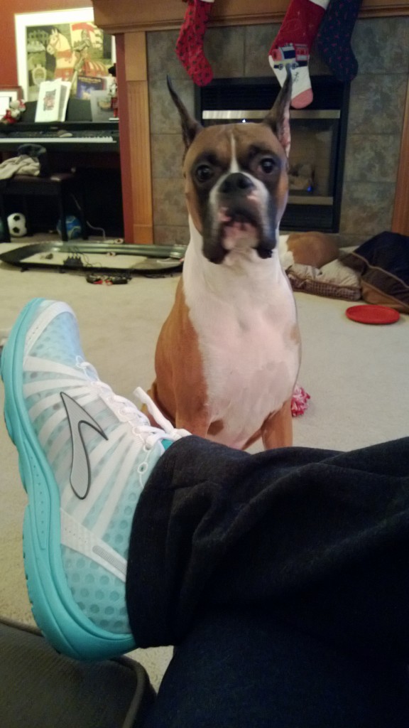 Bennie can tell my running shoes from regular shoes, so he thinks we're going for a run.