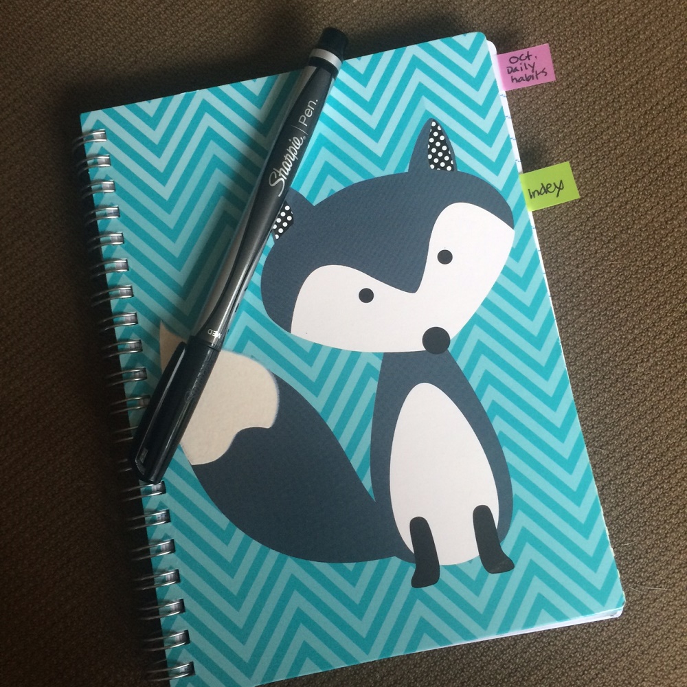 Starting a Bullet Journal